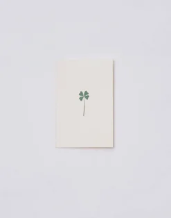 Natura Selection Postal Papel Con Sobre