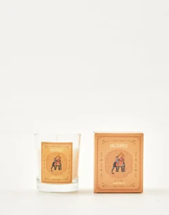 Natura Selection Vela Elephant