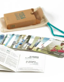Natura Selection Yoga Cards